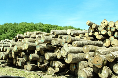 Stacked Timber For Sale